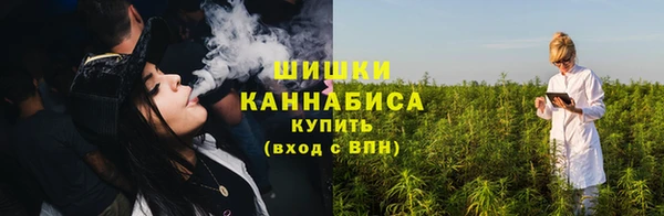 крисы Горняк