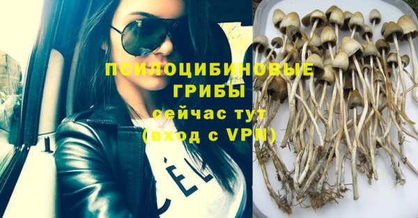 крисы Горняк