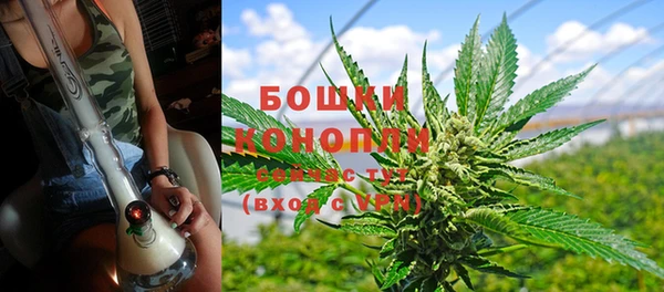 крисы Горняк