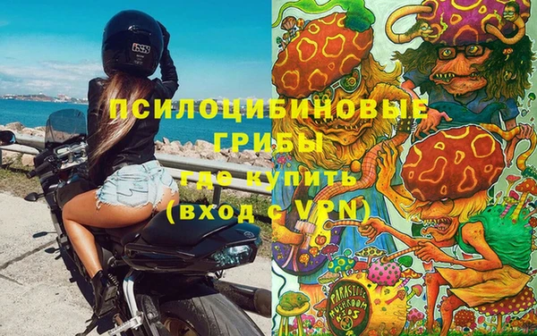 не бодяженный Горнозаводск