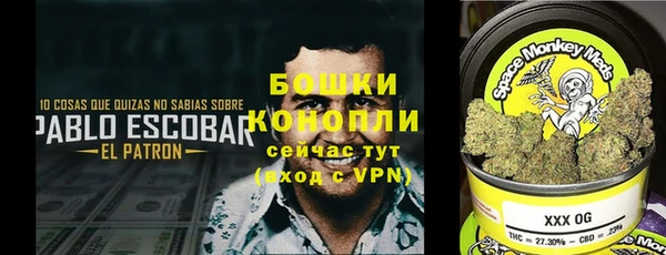 не бодяженный Горнозаводск