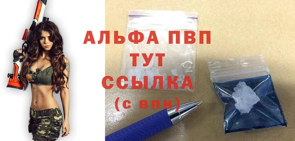 крисы Горняк