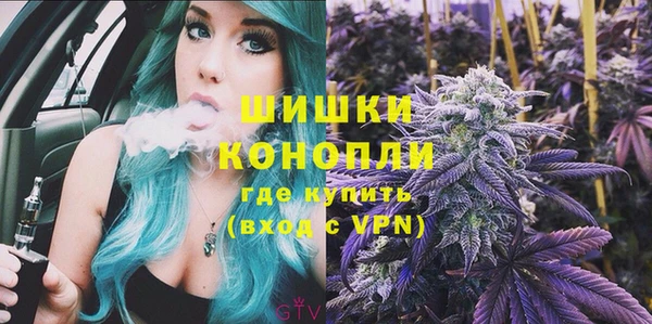 крисы Горняк