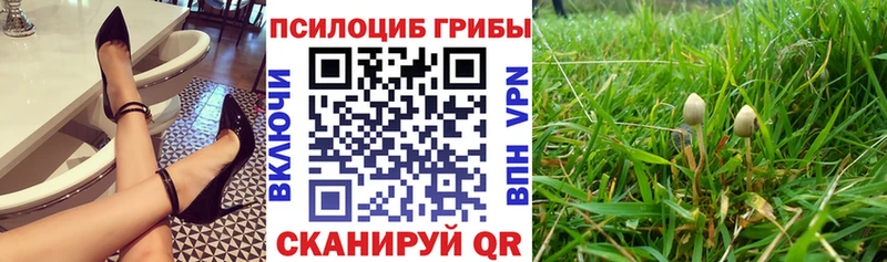 Галлюциногенные грибы прущие грибы  Ивангород 